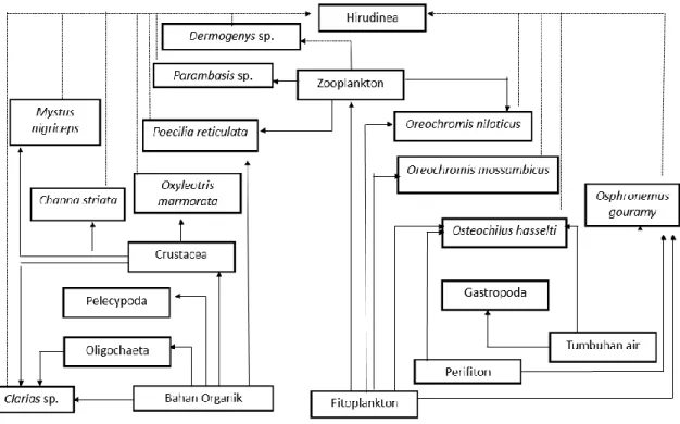 Gambar 8. Jejaring Makanan Situ Cilala,  ( ) Memangsa  ( ) Parasit terhadap Ikan 