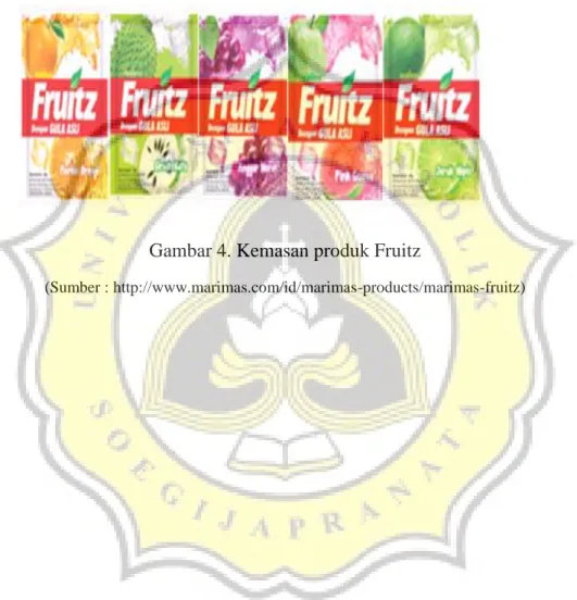 Gambar 4. Kemasan produk Fruitz 