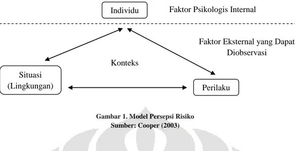 Gambar 1. Model Persepsi Risiko  Sumber: Cooper (2003)
