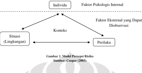 Gambar 1. Model Persepsi Risiko  Sumber: Cooper (2003)