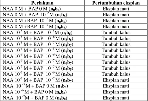 Tabel 2. Tekstur dan Warna Kalus C.roseus Setelah 5 Minggu Penanaman 