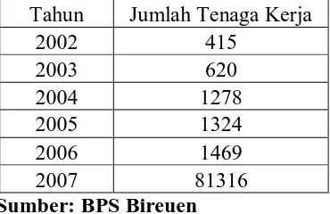 Tabel 1.3 Data Jumlah Tenaga Kerja di Kabupaten Bireuen Tahun 2002-2007 
