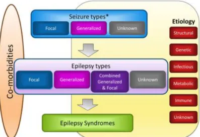 Gambar 2.1 Klasifikasi kejang dan epilepsi. 