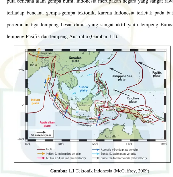 Gambar 1.1 Tektonik Indonesia (McCaffrey, 2009) 