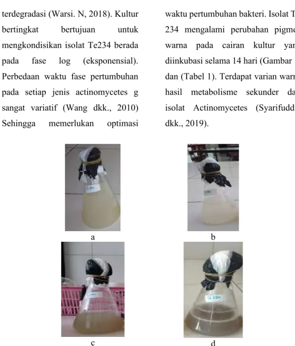 Gambar 1. Cairan kultur isolat bakteri Te234: a) hari 1; b) hari 5; c) hari 10; 