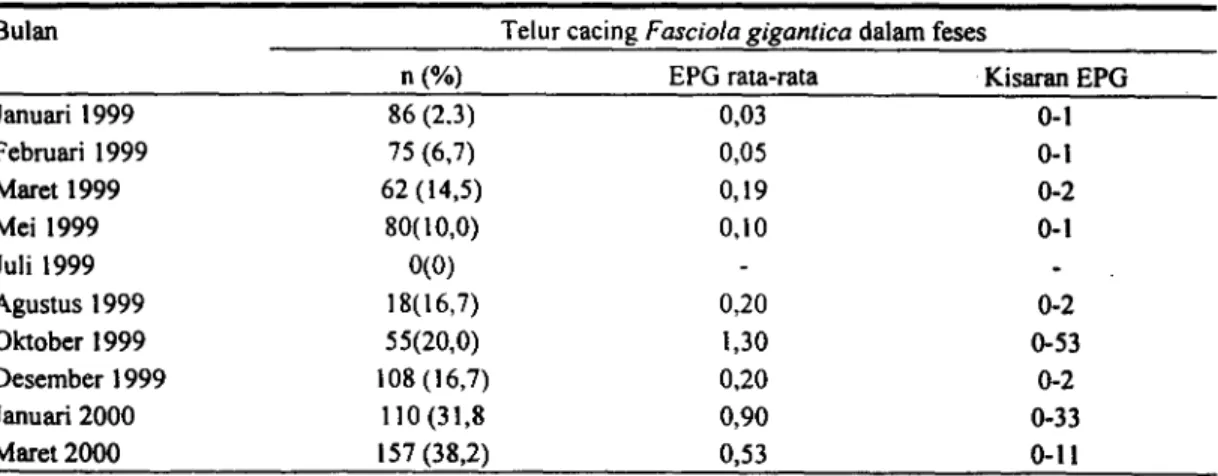 Tabel 2. Hasil pemeriksaan feses terhadap telur cacing hati Fasciola gigantica pada kerbau rawa antara bulan Januari 1999 s/d Maret 2000 di kecamatan Danau Panggang, Kabupaten HSU