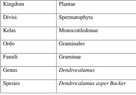 Tabel 2.1 Klasifikasi bambu petung  Kingdom   Plantae  Divisi  Spermatophyta  Kelas  Monocotiledonae  Ordo  Graminales  Famili  Graminae  Genus  Dendrocalamus 