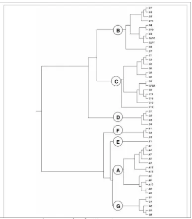 Gambar 2.7: Struktur famili protein transporter ABC 