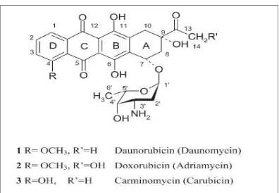 Gambar 2.2: Struktur Kimia Doksorubisin dan Turunannya 