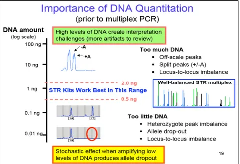 Gambar 6. Pentingnya Kuantifikasi DNA dalam PCR 4 2.2 Rambut 