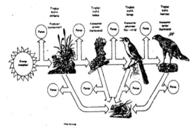 Gambar 5.9 Aliran energi 