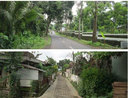 Gambar 8. Tampak gambar atas memperlihatkan kondisi jalan utama di Desa Kemiren. Gambar bawah menggambarkan kondisi jalan kecil atau gang di wilayah pemukiman (Sumber gambar: dok