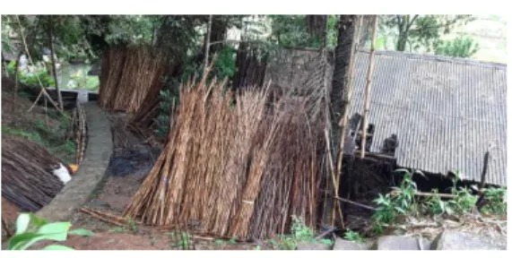 Gambar 2. Rumpun Bambu di Kampung  Angklung 