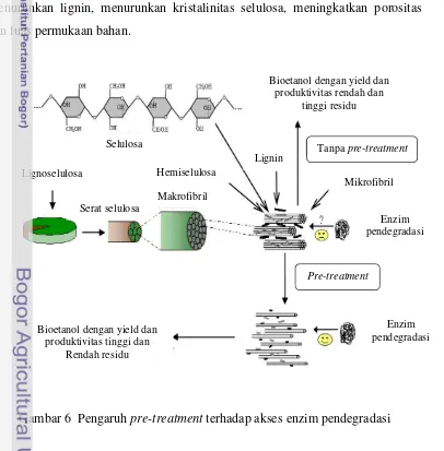 Gambar 6  Pengaruh pre-treatment terhadap akses enzim pendegradasi 