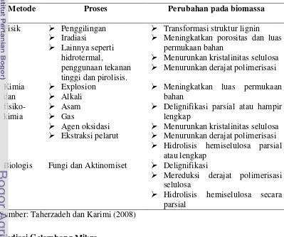 Tabel 4  Pengaruh pre-treatment terhadap bentuk biomassa 