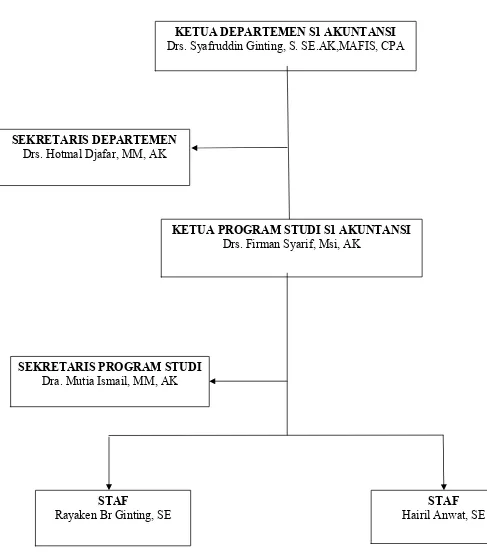 Gambar 1.1 Bagan  Struktur Organisasi Departemen S1 Akuntansi