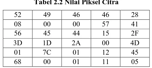 Tabel 2.2 Nilai Piksel Citra 