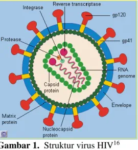 Gambar 1.  Struktur virus HIV 16