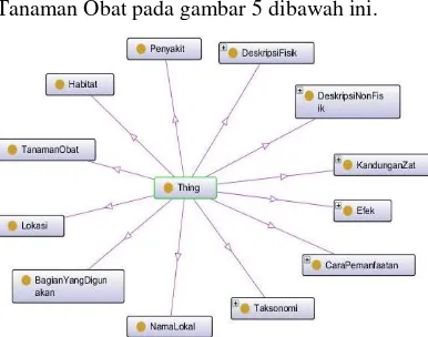 Gambar 5 Graf Utama Ontologi Tanaman Obat 