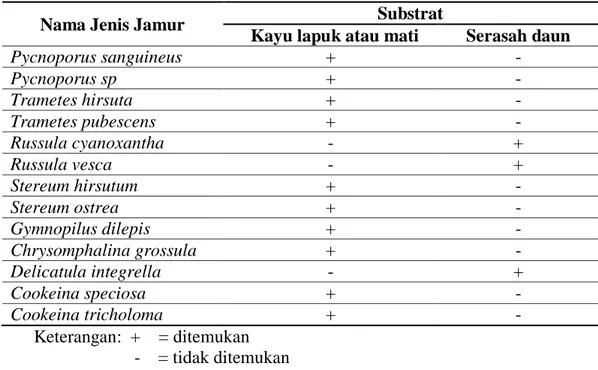 Tabel 3 Data Rentang Pengukuran Faktor Lingkungan di Hutan Adat  Kantuk, Desa Paoh Benua, Kecamatan Sepauk, Kabupaten Sintang