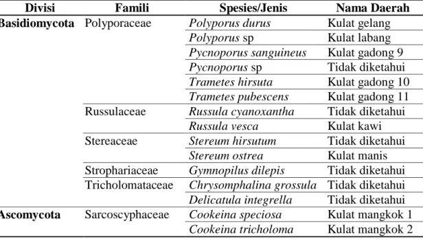 Gambar 1 Jumlah Jenis Jamur Makroskopis Pada Setiap  Famili yang Ditemukan  Di Hutan Adat Kantuk 