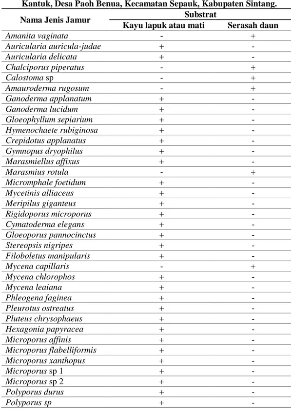 Tabel 2 Substrat Jamur Makroskopis yang Ditemukan di Hutan Adat  Kantuk, Desa Paoh Benua, Kecamatan Sepauk, Kabupaten Sintang