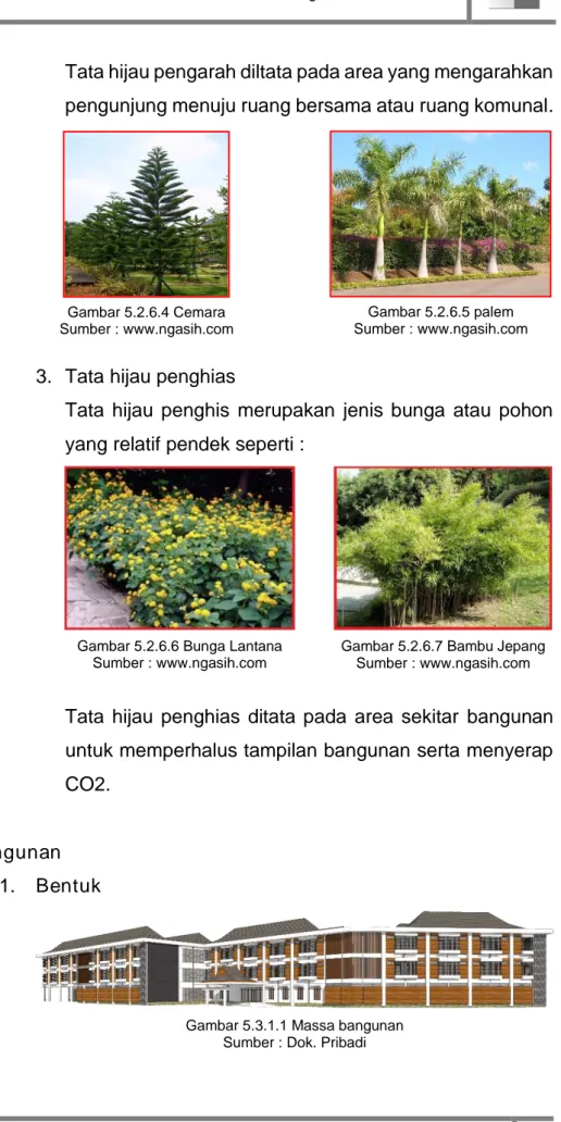 Gambar 5.2.6.6 Bunga Lantana  Sumber : www.ngasih.com 