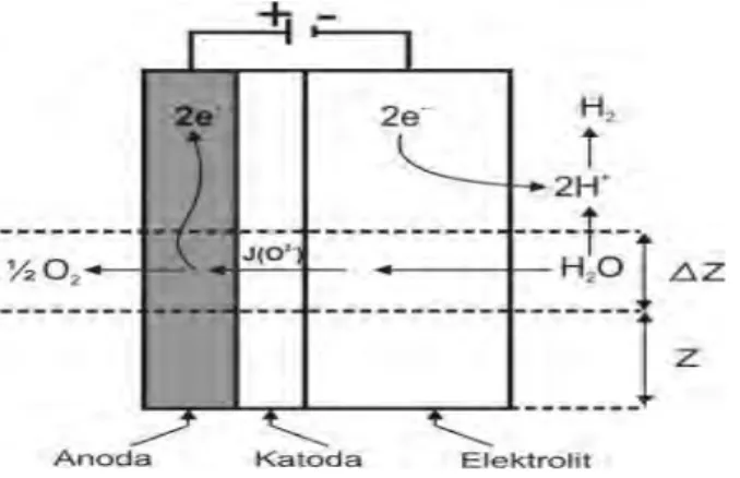 Gambar : 2.3 Elektrolisasi air (H 2 O) 
