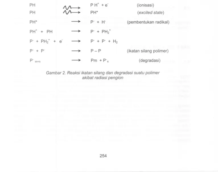 Gambar 2. Reaksi ikatan silang dan degradasi suatu polimer akibat radiasi pengion