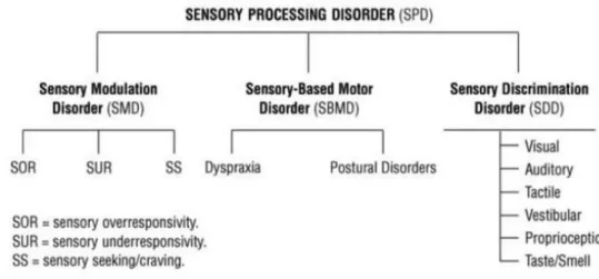 Gambar 2.3 Pemrosesan Sensory 