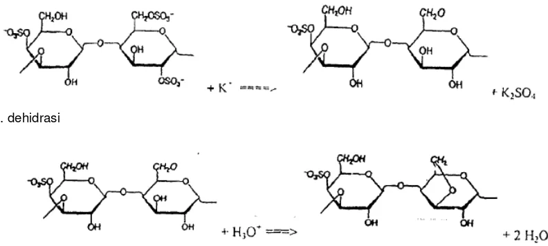 Gambar 1. Reaksi pada tahap ekstraksi dengan alkali (Patent EP0964876, 1998). 