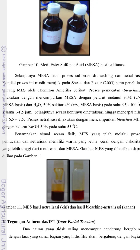 Gambar 10. Metil Ester Sulfonat Acid (MESA) hasil sulfonasi 