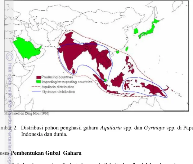 Gambar 2.  Distribusi pohon penghasil gaharu Aquilaria spp. dan Gyrinops spp. di Papua,  Indonesia dan dunia