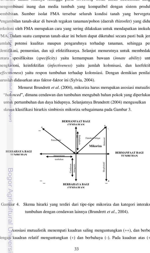 Gambar  4.    Skema  hirarki  yang  terdiri  dari  tipe-tipe  mikoriza  dan  kategori  interaksi  tumbuhan dengan cendawan lainnya (Brundrett et al., 2004)