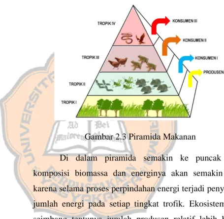 Gambar 2.3 Piramida Makanan 