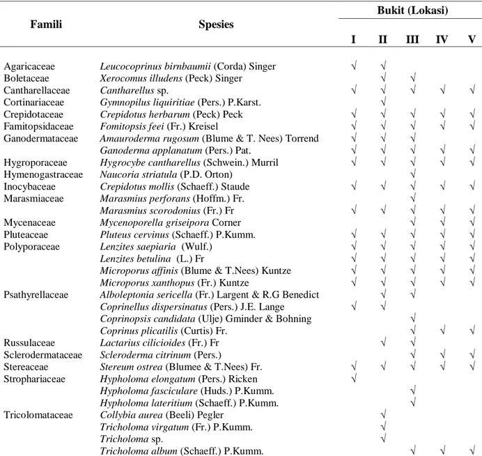 Tabel  1.  Jenis-jenis  Jamur  Makroskopis  yang  ditemukan  di  Taman  Wisata  Alam  Deleng  Lancuk 