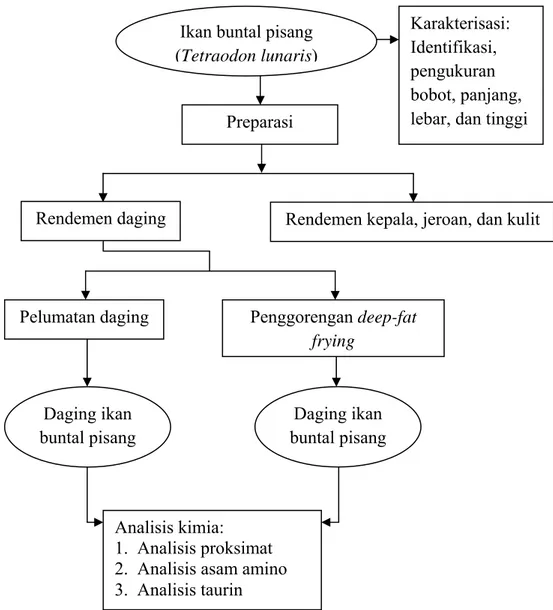 Gambar 5 Diagram alir metode penelitian  3.3.1 Pengambilan sampel 