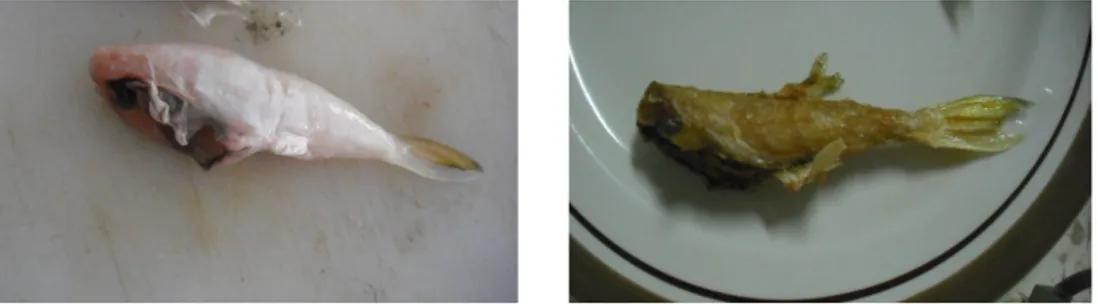 Gambar 9 Daging ikan buntal segar dan daging ikan buntal goreng  