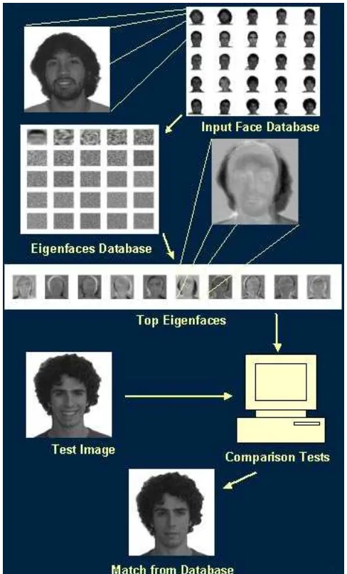 Gambar 1: Flow Chart dari proses pengenalan wajah dengan algoritma Eigen face 