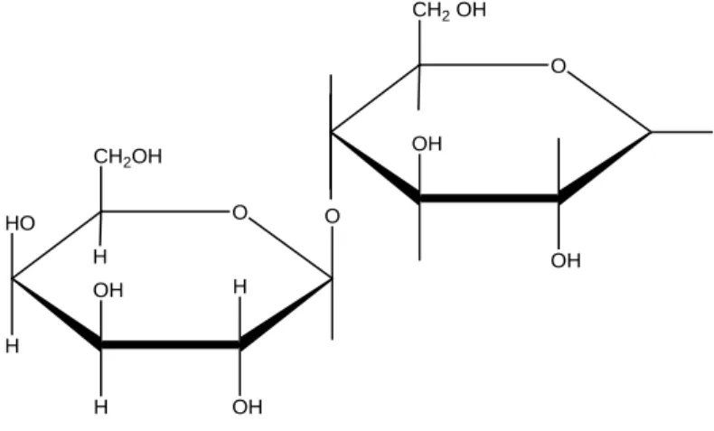 Gambar 2.4. Struktur Laktosa  (ß- D-galaktopiranosil -α-D- glukopiranosa) 