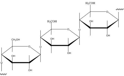 Gambar 2.5. Struktur molekul Selulosa 