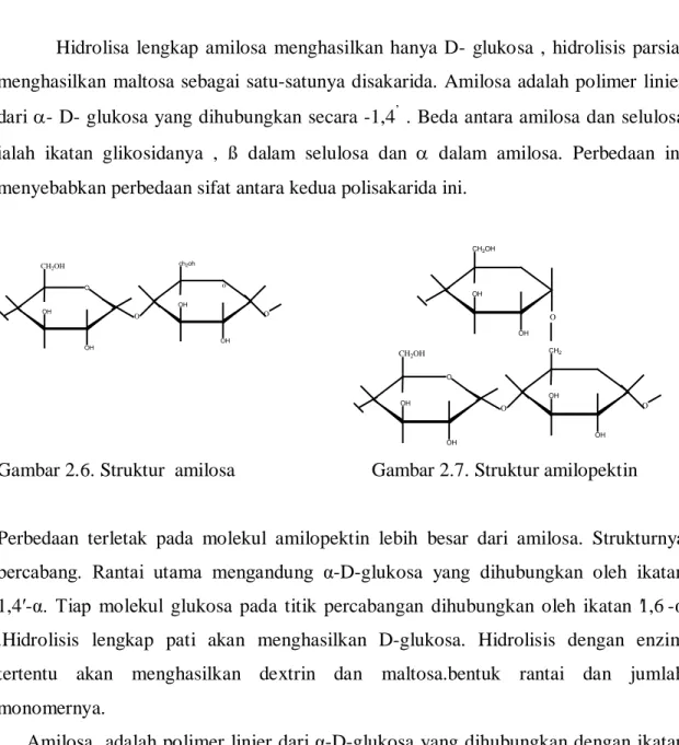 Gambar 2.6. Struktur  amilosa      Gambar 2.7. Struktur amilopektin   