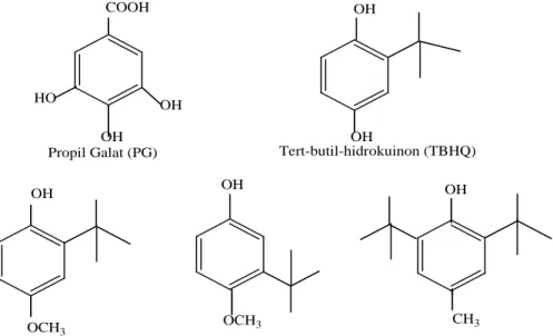 Gambar 2.9.  Beberapa Senyawa Antioksidan Sintesis 