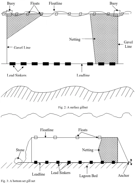 Fig. 3: A bottom set gill net  