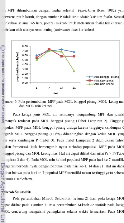 Gambar 6  Pola pertumbuhan  MPF pada MOL bonggol pisang, MOL  keong mas  