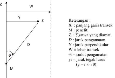 Gambar 3. Metode line transect diadopsi dari  Bismark, 2011 