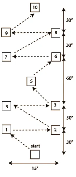 Gambar 3.4 Dynamic Test of Positional Balance 