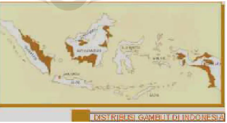Gambar 2.3 Peta penyebaran distribusi gambut di Indonesia  (sumber www.pu.go.id/.../webba) 