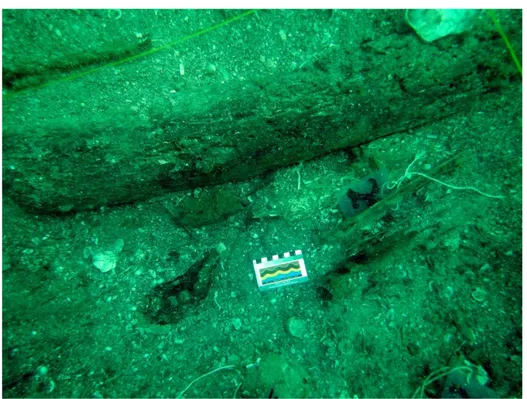 Figur 15. Tinggalan arkeologi berupa sisa kayu kapal yang ditemukan hasil dari ekskavasi  bawah air (Sumber: Shinatria Adhityatama) 