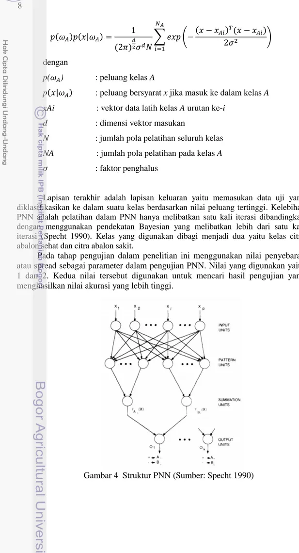 Gambar 4  Struktur PNN (Sumber: Specht 1990) 
